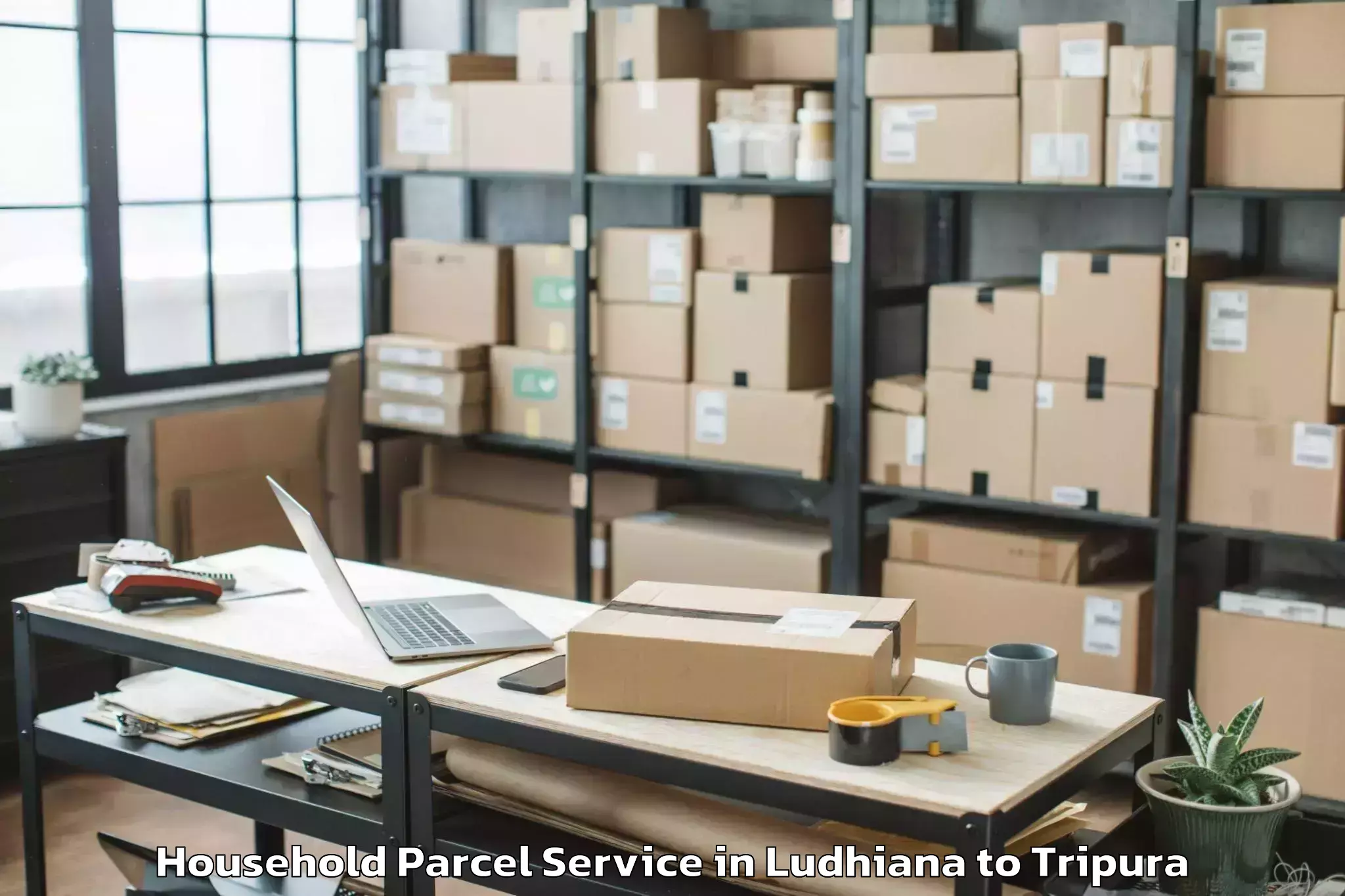 Easy Ludhiana to Amarpur Gomati Household Parcel Booking